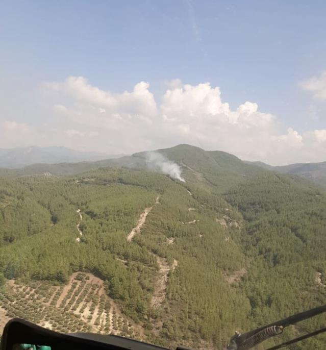 Akyar Köyü'nde orman yangını